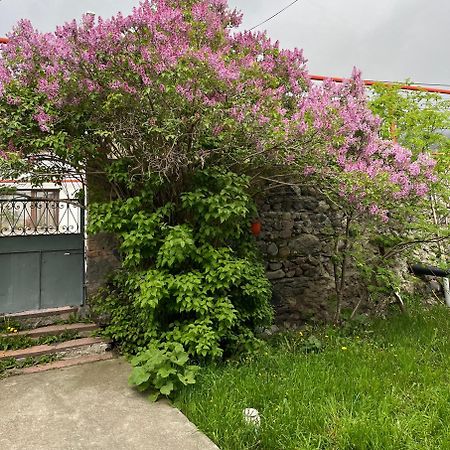 קזבגי Soso Burduli'S Guesthouse מראה חיצוני תמונה