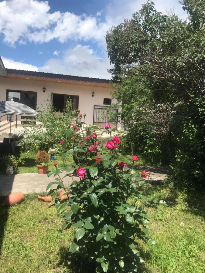קזבגי Soso Burduli'S Guesthouse מראה חיצוני תמונה