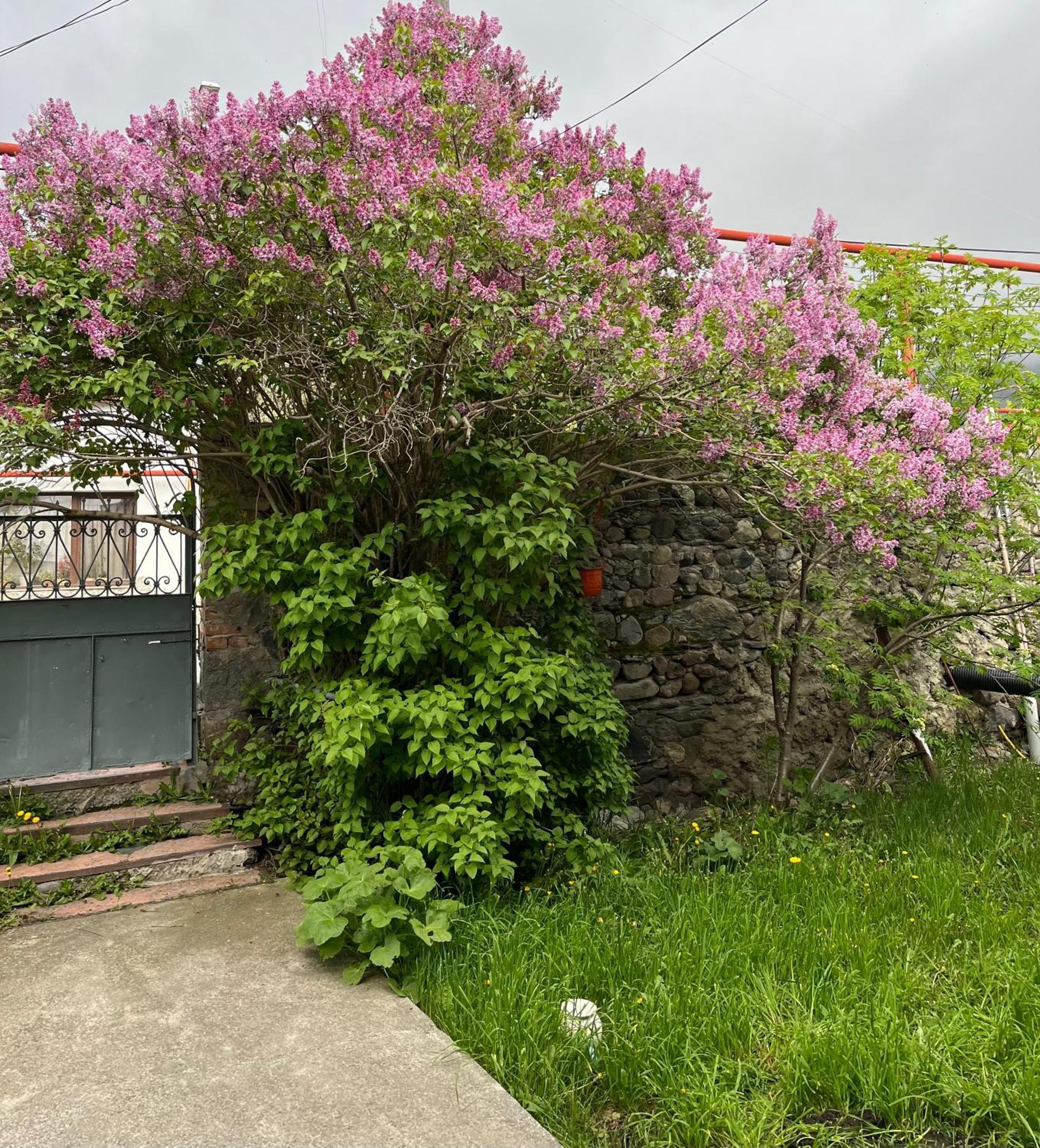 קזבגי Soso Burduli'S Guesthouse מראה חיצוני תמונה