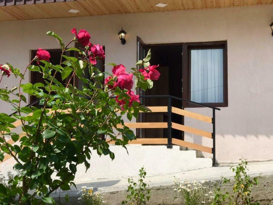 קזבגי Soso Burduli'S Guesthouse מראה חיצוני תמונה